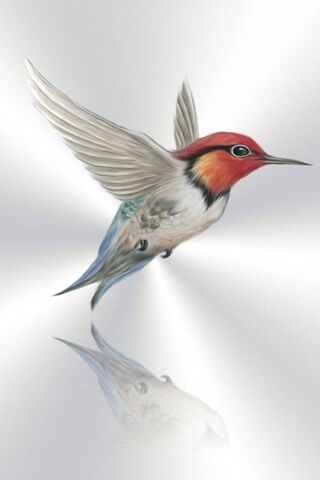 Whispers of the Hummingbird 🌺✨