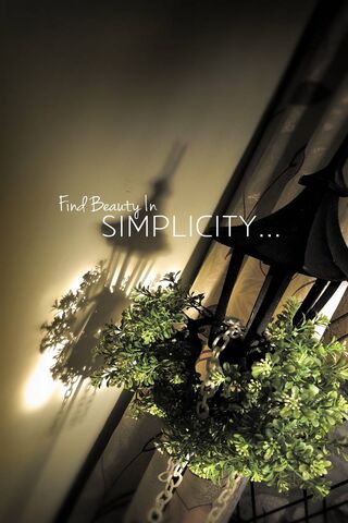 Embracing the Essence of Simplicity 🌿✨
