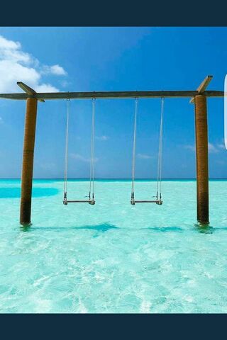 Swinging into Serenity at Paradise Beach 🌊🌴
