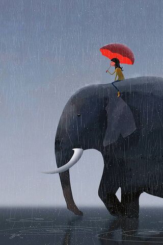 Dancing in the Rain with Gentle Giants ☔🐘