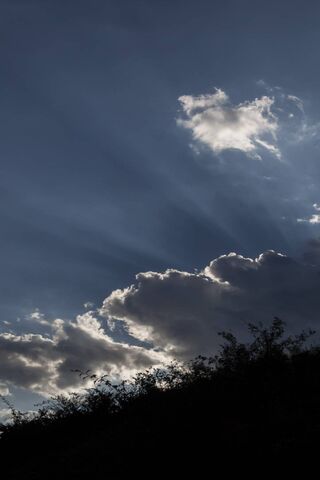 Heavenly Beams: Nature's Light Show ☀️🌤️