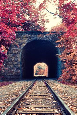 Autumn's Enchanted Passage 🍂🚂