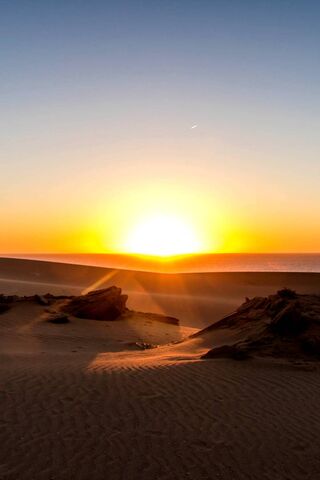 Golden Horizons: A Dese..