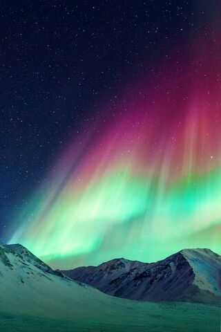 Aurora Dreams: A Night Under the Northern Lights 🌌✨