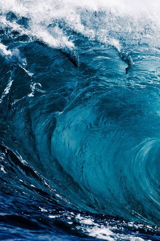 Ocean's Embrace: The Da..