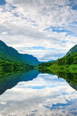 Tranquil Reflections in Nature 🌿🌊