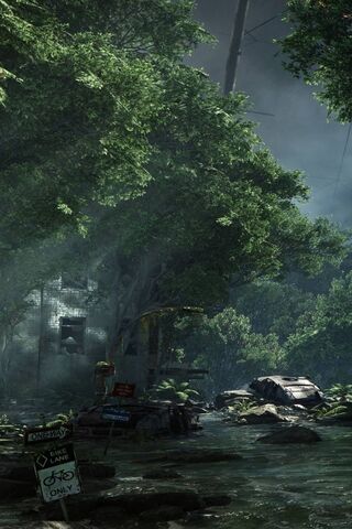 Echoes of the Forgotten