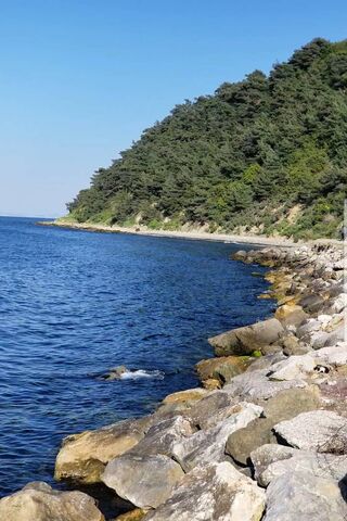 Tranquil Shores of Bursa's Trilye 🌊🌲