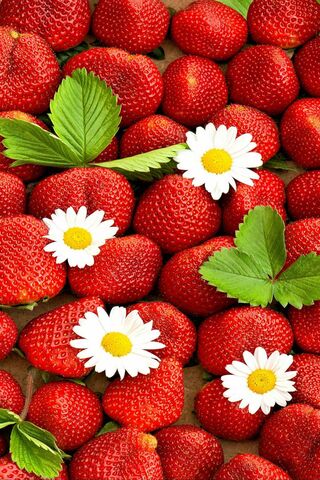 Sweet Summer Bliss: A S..