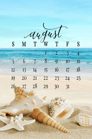 Sandy Days of August 🌊☀️