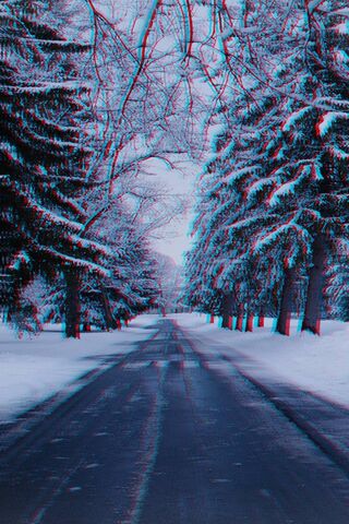 Winter Wonderland: A Jo..