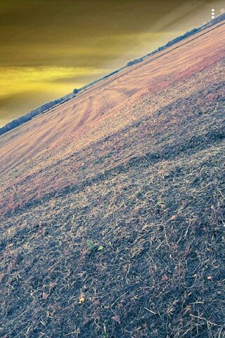 Farmland