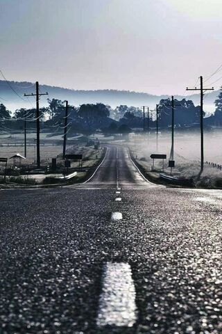 Journey Through the Misty Country Road 🌄🚗