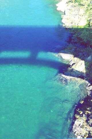 Serenity Beneath the Surface 🌊✨