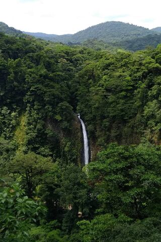 Majestic Cascades of Costa Rica 🌿💦