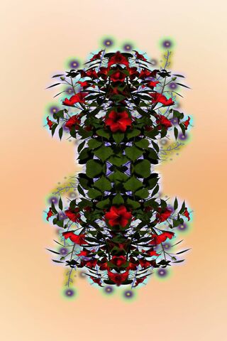 Blooming Reflections 🌸✨