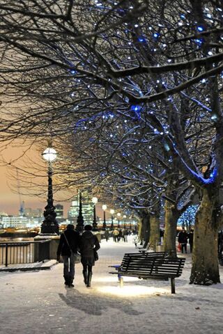 Winter's Embrace: A Stroll Under the Stars
