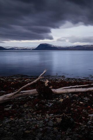 Serenity at Winter Beach: A Chilly Embrace