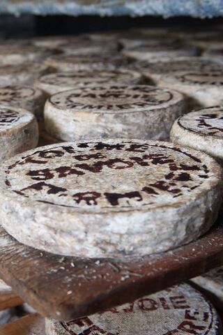 A Taste of Tradition: French Cheese Delights 🧀🇫🇷