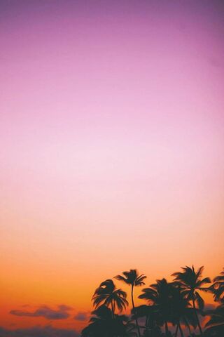 Tropical Twilight Bliss 🌅🌴