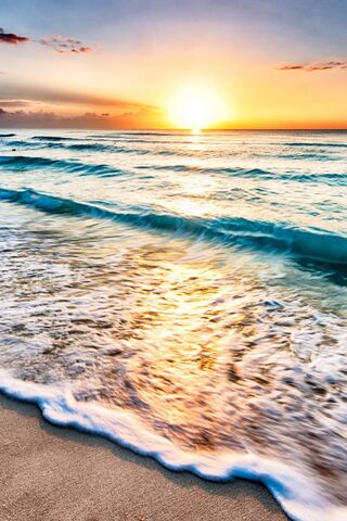 Golden Horizons: A Suns..