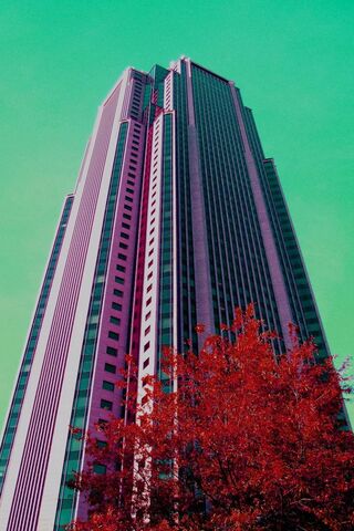 Reaching New Heights: The Edge Building 🌆✨