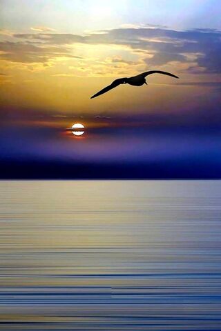 Serenity at Dusk 🌅
