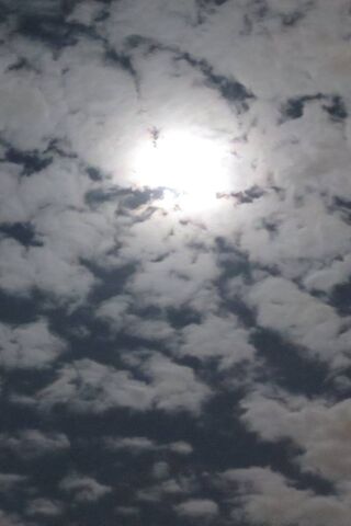 Moody Skies: A Dance of..