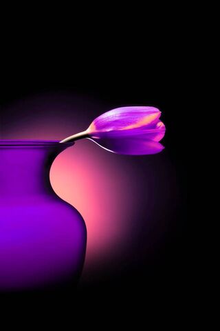 Whispers of Spring: The..