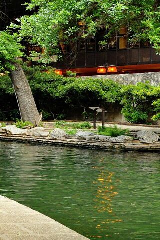 Serenity by the River Walk 🌿✨