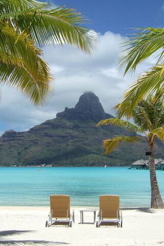 Paradise Found: Bliss 🌴🏝️