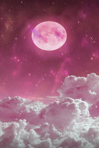 الوردي القمر