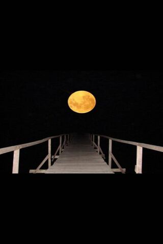 Pathway to the Moonlit ..