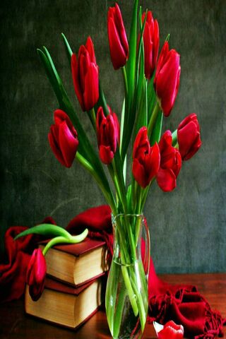 Crimson Elegance: A Bou..