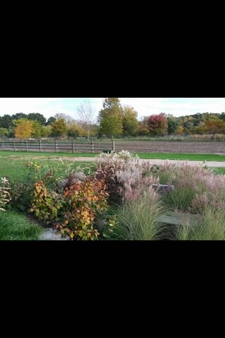 Tranquil Autumn Landscape 🍂🌾