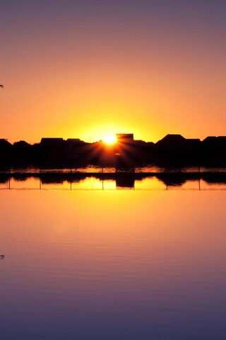 Sunset Serenity 🌅