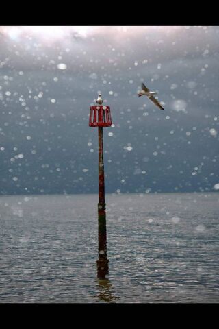 Whispers of the Sea 🌊✨