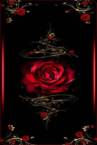 Red Rose