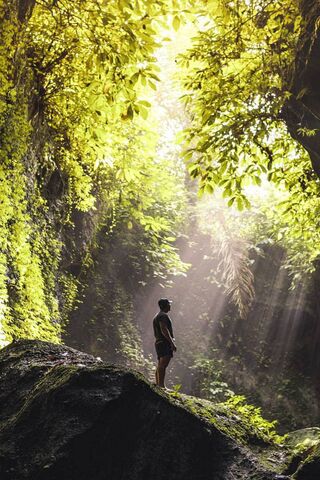 Serenity in the Green Embrace 🌿✨