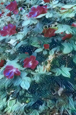 Whispers of Rosey Posey 🌹✨