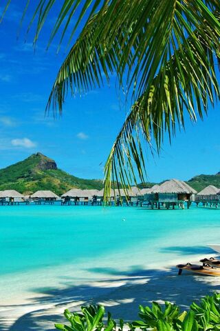 Paradise Found: Bora Bora Bliss 🌴🌊