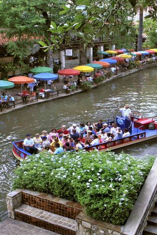 Serenity on the River Walk 🌊🌼