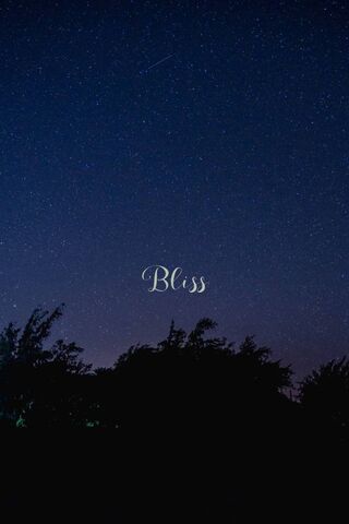 Blissful Night