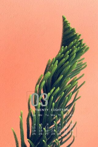 Marching into Spring: The March Plant 🌱🌸