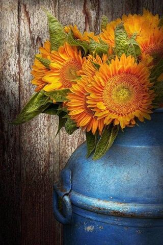Sunshine in a Jar 🌻✨