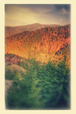 Whispers of Autumn