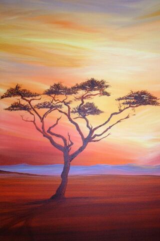 Sunset Serenity: The Heart of Africa 🌅🌍