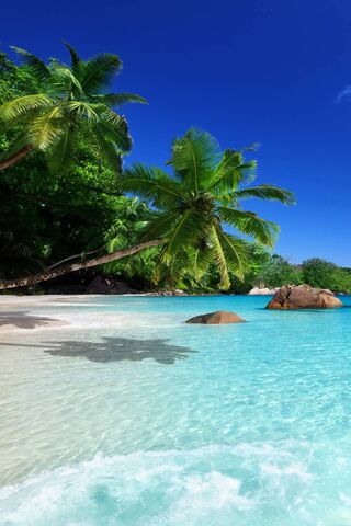Spiaggia tropicale