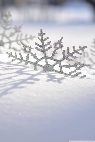Whispers of Winter: The..