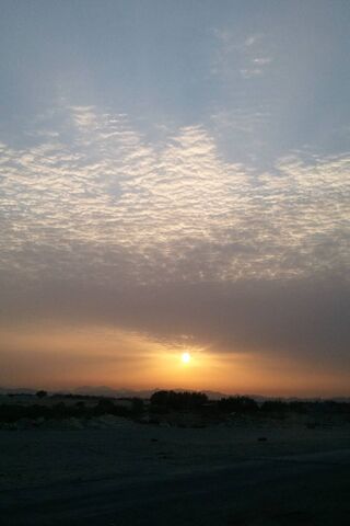 Awakening Horizons 🌅